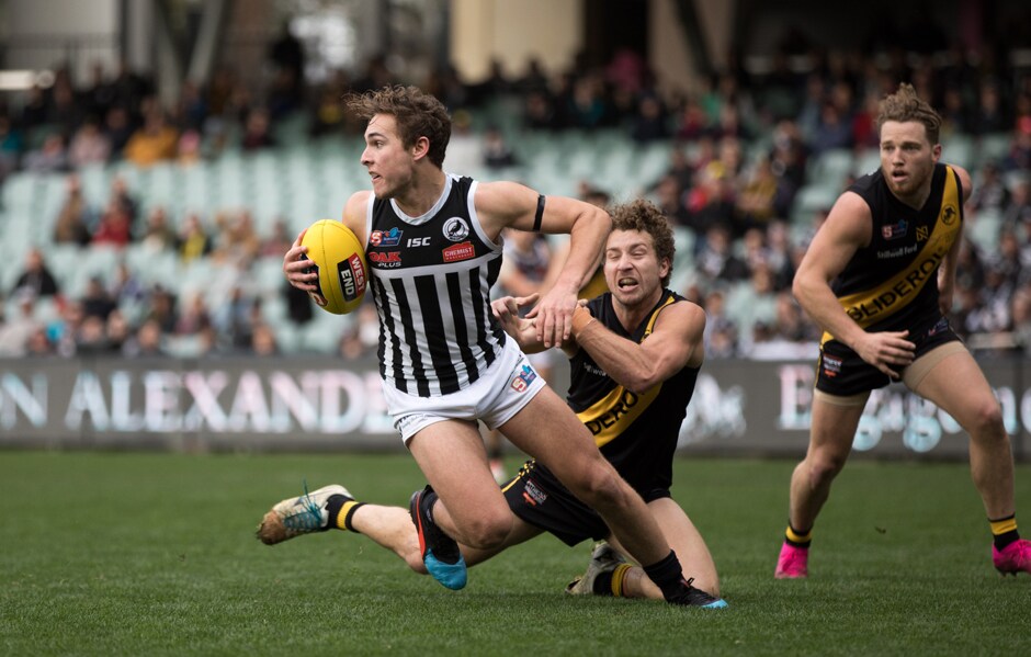 SANFL-GF-fast-facts-main.jpg The SANFL have made three rules changes for the 2020 season. - SANFL,Port Adelaide Magpies